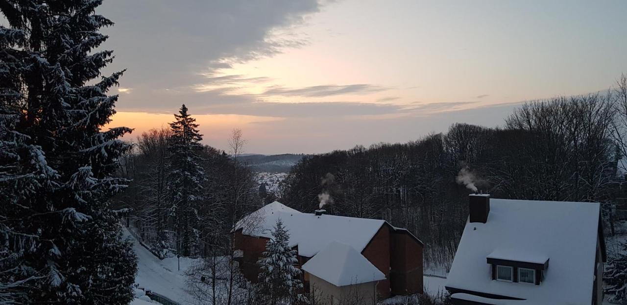 Panorama Hotel Pension Frohnau Bad Sachsa Bagian luar foto