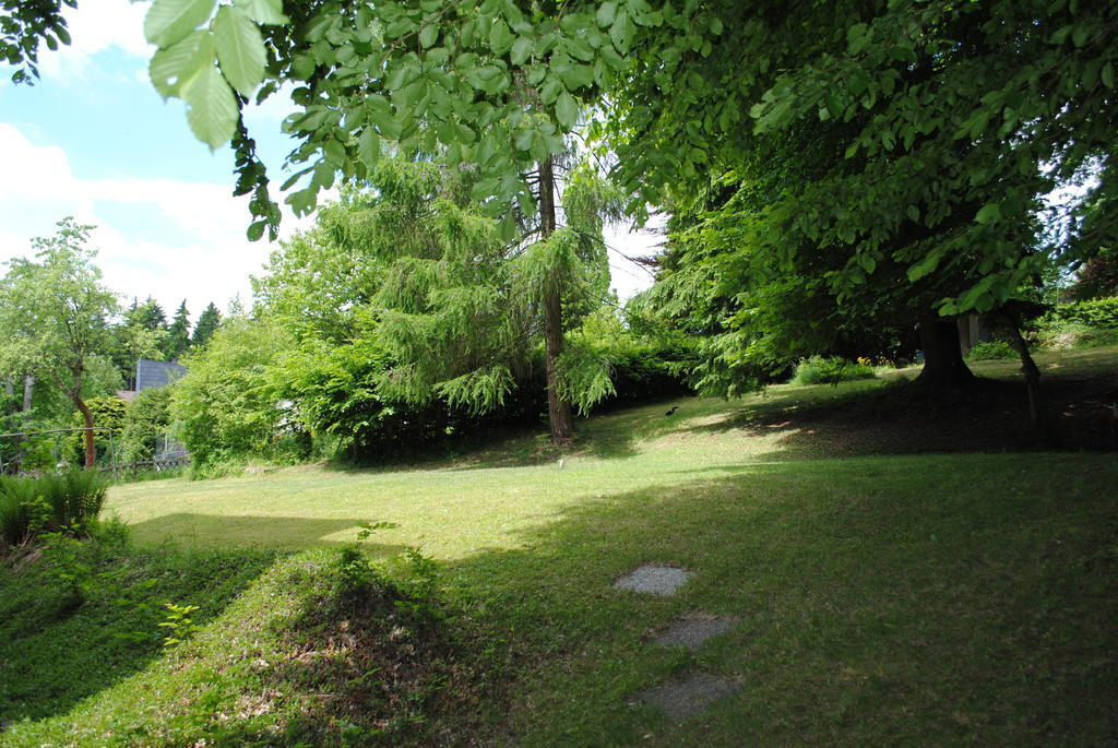 Panorama Hotel Pension Frohnau Bad Sachsa Ruang foto